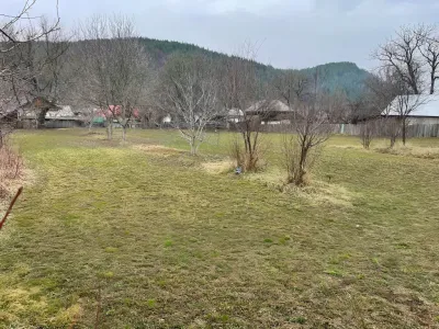 teren vanzare cumparare Rotileștii Mari Vrancea camp copaci